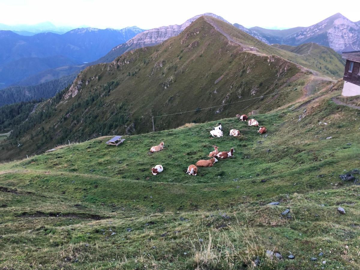 Apartment Haus Mup Spittal an der Drau
